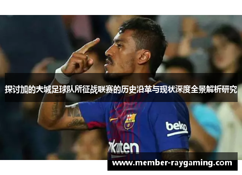 探讨加的夫城足球队所征战联赛的历史沿革与现状深度全景解析研究