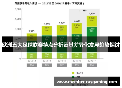 欧洲五大足球联赛特点分析及其差异化发展趋势探讨